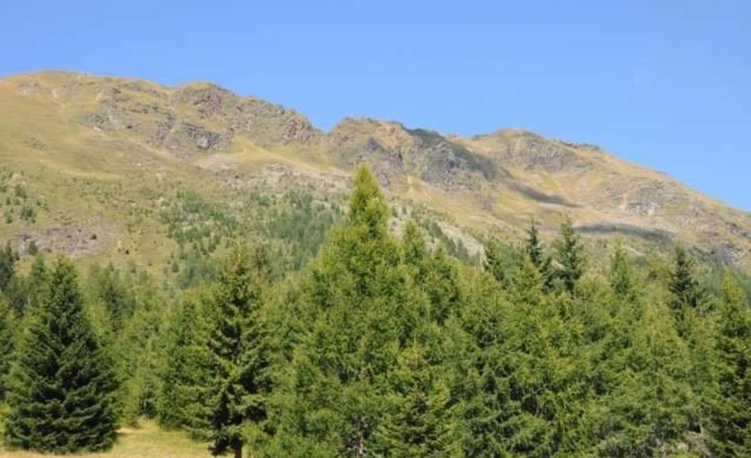 Rangersdorfer Huette Villa Witschdorf Dış mekan fotoğraf